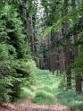 2010-06-12, Uttewalder Grund (23)